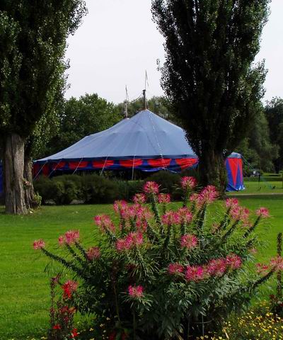 blaues Zirkuszelt hinter Blumen